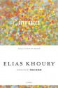 City Gates - Elias Khoury, Paula Haydar