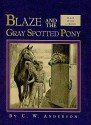 Blaze and the Gray Spotted Pony (Blaze Series) - C.W. Anderson