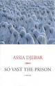 So Vast the Prison - Assia Djebar, Betsy Wing