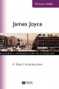 James Joyce: The Politics of Enchantmant - Michael Seidel