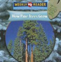 How Pine Trees Grow - Joanne Mattern