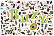 Buzz - Caroline Bingham, Ben Morgan, Matthew Robertson, Mark Beech