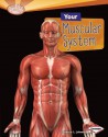 Your Muscular System - Rebecca L. Johnson