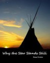 Why the Star Stands Still - Rose Christo