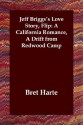 Jeff Briggs's Love Story, Flip: A California Romance, a Drift from Redwood Camp - Bret Harte