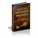 COMPLETE How To Book on Affiliate Marketing and Profits - OVER 100 detailed pages - Tom Morgan