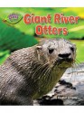 Giant River Otters - Rachel Lynette