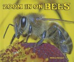 Zoom in on Bees - Melissa Stewart