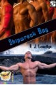 Shipwreck Bay - A.J. Llewellyn