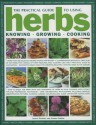 The Practical Guide To Using Herbs - Lorenz Editors, Jessica Houdret