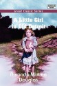 A Little Girl In Old Detroit - Amanda M. Douglas