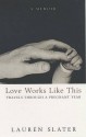 Love Works Like This - Lauren Slater