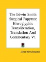 The Edwin Smith Surgical Papyrus: Hieroglyphic Transliteration, Translation And Commentary V1 - James Henry Breasted