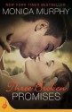 Three Broken Promises (Drew + Fable, #3) - Monica Murphy