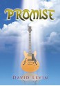 Promise - David Levin