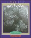 Silicon - Salvatore Tocci