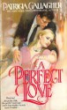 A Perfect Love - Patricia Gallagher