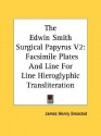 The Edwin Smith Surgical Papyrus V2: Facsimile Plates and Line for Line Hieroglyphic Transliteration - James Henry Breasted