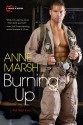 Burning Up - Anne Marsh