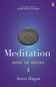 Meditation Now or Never - Steve Hagen