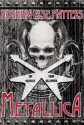 Nothing Else Matters: Metallica: The Graphic Novel - Jim McCarthy, Brian Williamson