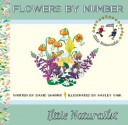 flowers by number - David Shapiro