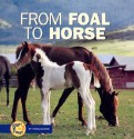 From Foal to Horse - Robin Nelson