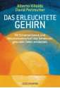 Das erleuchtete Gehirn: Mit Schamanismus und Neurowissenschaft das Geheimnis gesunder Zellen entdecken (German Edition) - Alberto Villoldo, Andrea Panster