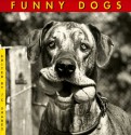 Funny Dogs - Jean-Claude Suarès