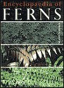 Encyclopaedia of Ferns: An Introduction to Ferns, Their Structure, Biology, Economic Importance, Cultivation, and Propagation - David L. Jones