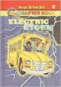 Electric Storm (Magic School Bus Chapter Books, #14) - Anne Capeci, Hope Gangloff, Joanna Cole, Bruce Degen