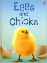 Eggs and Chicks, Level 1: Internet Referenced (Beginners Nature) - Fiona Patchett