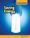 Saving Energy (Do It Yourself Ecology) - Anna Claybourne, Carol Ballard, Buffy Silverman, Rachel Lynette