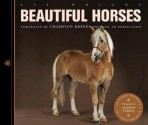 Beautiful Horses - Liz Wright