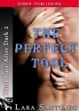 Perfect Tool - Lara Santiago