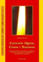 Czciciele Czasu, Ognia i Szatana. Religie Iranu: zaratusztrianizm, anahityzm, mitraizm, manicheizm, mazdakizm, mazdazanizm, jazydyzm - Andrzej Sarwa