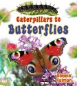 Caterpillars to Butterflies - Bobbie Kalman