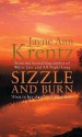 Sizzle and Burn (Arcane Society, #3) - Jayne Ann Krentz