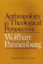 Anthropology in Theological Perspective - Wolfhart Pannenberg