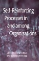 Self-Reinforcing Processes in and among Organizations - Jörg Sydow, Georg Schreyögg