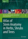 Atlas of Stem Anatomy in Herbs, Shrubs and Trees: Volume 1 - Fritz Hans Schweingruber, Annett Borner, Ernst-Detlef Schulze