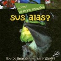 Como Usan Los Animales Sus Alas? - Lynn M. Stone