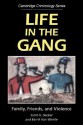 Life in the Gang: Family, Friends, and Violence (Cambridge Studies in Criminology) - Scott H. Decker, Barrik van Winkle