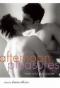 Afternoon Pleasures: Erotica for Gay Couples - Shane Allison