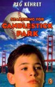 Searching for Candlestick Park - Peg Kehret, Stephen Marchesi