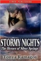 Stormy Nights - Tonya Ramagos