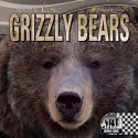 Grizzly Bears - Sheila Griffin Llanas