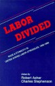 Labor Divided: Race and Ethnicity in United States Labor Struggles, 1835-1960 - Robert Asher, Charles Stephenson