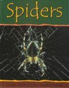 Spiders - Claire Llewellyn, Barrie Watts