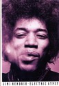 Jimi Hendrix: Electric Gypsy - Harry Shapiro, Caesar Glebbeek